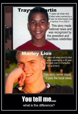 Are the shooting deaths of Trayvon Martin and Marley Lion similar ...