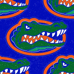 Florida Gators twitter theme ♥ Florida Gators twitter background