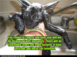 And that's why you should never give Basement Cat a bath. You might ...
