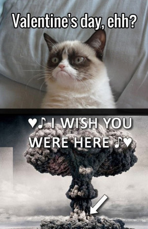 Grumpy Cat and blast