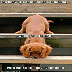 Or it could be a fantastic way to start a day! ;-)