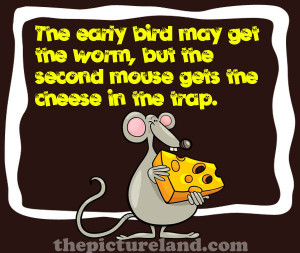 Funny Sayings With Picture Of Mouse With Cheese