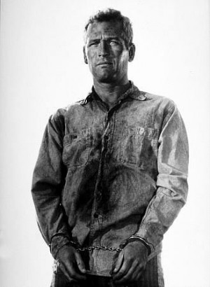 Cool Hand Luke is one of my favorite films, I just wish Warner would ...