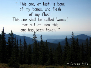 Genesis 3.23 Bible Verse