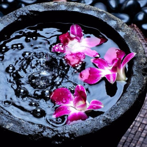 Meditation, Flow, Zen, Chi, Vision Board, Life Map, Excitement ...