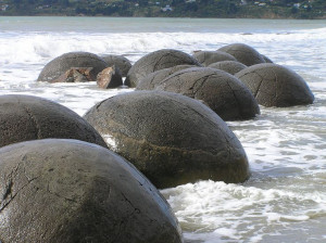 quotes lists related to prehistoric whales and check another quotes ...