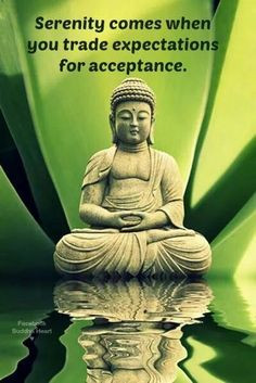 ... you trade expectations for acceptance buddha more accepted buddha 2 2