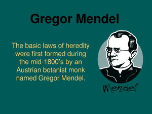 Gregor Mendel Genetics