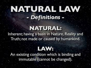 The natural law is nothing else than the rational creature's ...