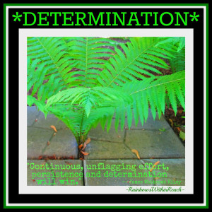 Quotes On Determination And Persistence Photo of: determination: fern