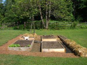 Diy Raised Garden Beds With Cinder Blocks Home Design Garden