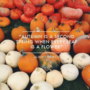 ... Quotes, Autumn Fall, Fall Autumn, Albert Camus, October Quotes, Fall