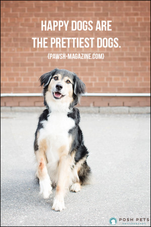 , this week’s dog quote is a reminder that happiness in both dogs ...