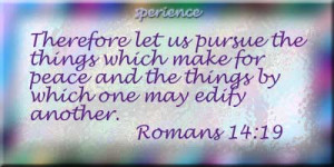 Therefore let us pursue the things which make for peace and the things ...