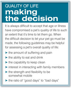 graphs or charts on euthanasia of animals in canada
