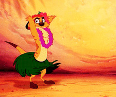 Timon and Pumbaa Quotes