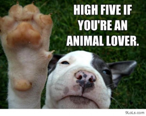 Funny Love Animal Picture