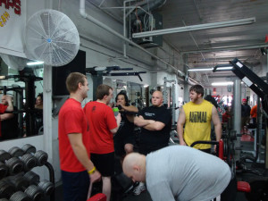 Animal Weightlifting Quotes Forum Bodybuilding Showthread