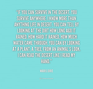You Will Survive Quotes