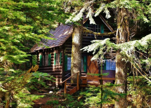small log cabin in Washington State.