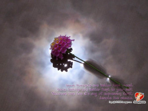 Sinhala Quotes About Love