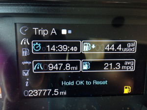 Funny Ram Owners-image-3209812504.jpg