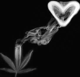 weed love 2 Image