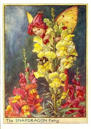Snapdragon Flower Fairy, Cecily Mary Barker