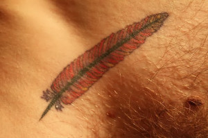 Seagull feather tattoo, new design tattoo
