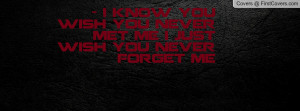 Wish I Never Met You Quotes