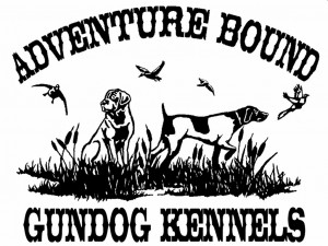 Thread: Quail hunting Bird Dog image