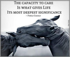 Horse Quotes | Georgia Horse Eve...