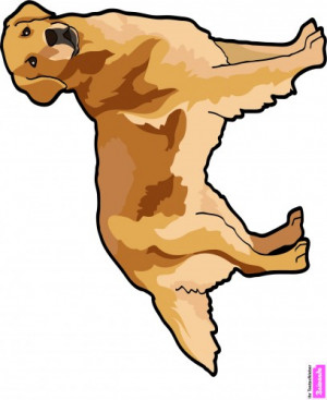 incl. 19 % VAT excl. shipping costs