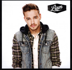 Liam One Direction 2015