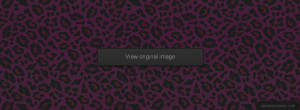 pink-cheetah-fb-Facebook-Profile-Timeline-Cover.jpg