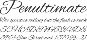 could possibly be said about the beautiful flowing brush script font ...