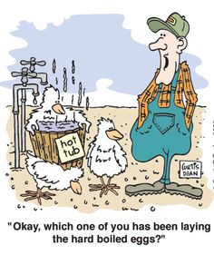 animated chicken farmer | Farm Humour - Wilde-Wind Farms More
