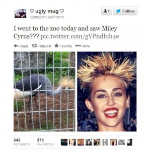 Miley Cyrus at the zoo