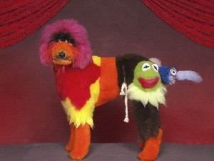 Inspirational Quotes Pictures