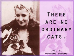 Curated Quotes Hand Picked