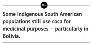 But the coca bush is a tough plant, one that’s likely to adapt to ...