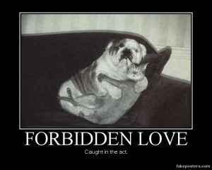 forbidden-love-forbidden-love-quotes-motivational-funny-pictures-love ...