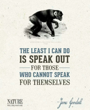 Speak out