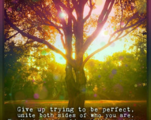 Inspirational quote, photo, 8x8, sp irit, wisdom, oak tree, zen ...