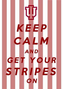 ... great job they have done to bring this program back!! Next year could