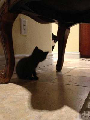 SIGN UP FOR THE NEW UBERHUMOR NEWSLETTER