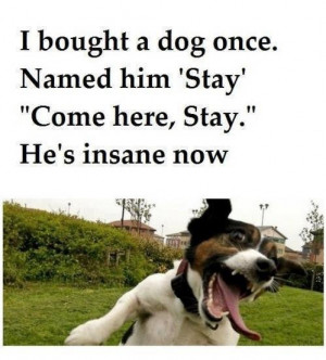 ... Stay.” He’s insane now. Via FB/Shut Up I’m Still Talking #quotes