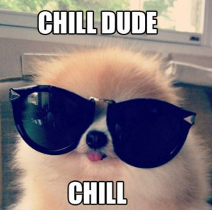 Did you like it? Feel free to share it: