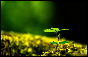 New Life Begins by dynamick