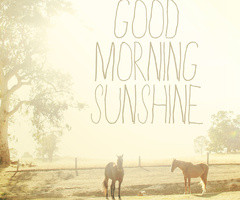 Morning Inspirational Quotes With Horses